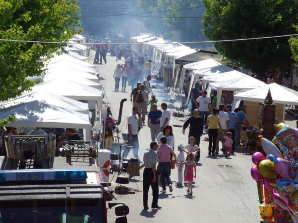 ljubovija manifestacije