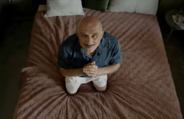 drim tim serija danica ristovski uloga