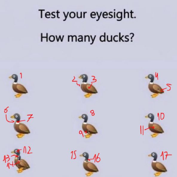 internet mozgalice koliko patki ima na slici prebrojte patke