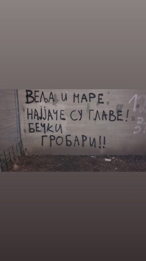 grobari cirih podrska velja nevolja milan zvezda foto