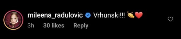 danijela stajnfeld branislav lecic silovanje goran bogdan podrska instagram foto