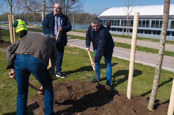 beograd stari grad projekat ozeleni stari grad realizacija