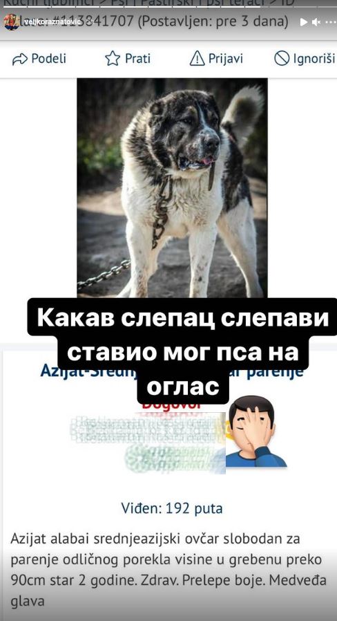 veljko raznatovic oglas psi pobesneo instagram