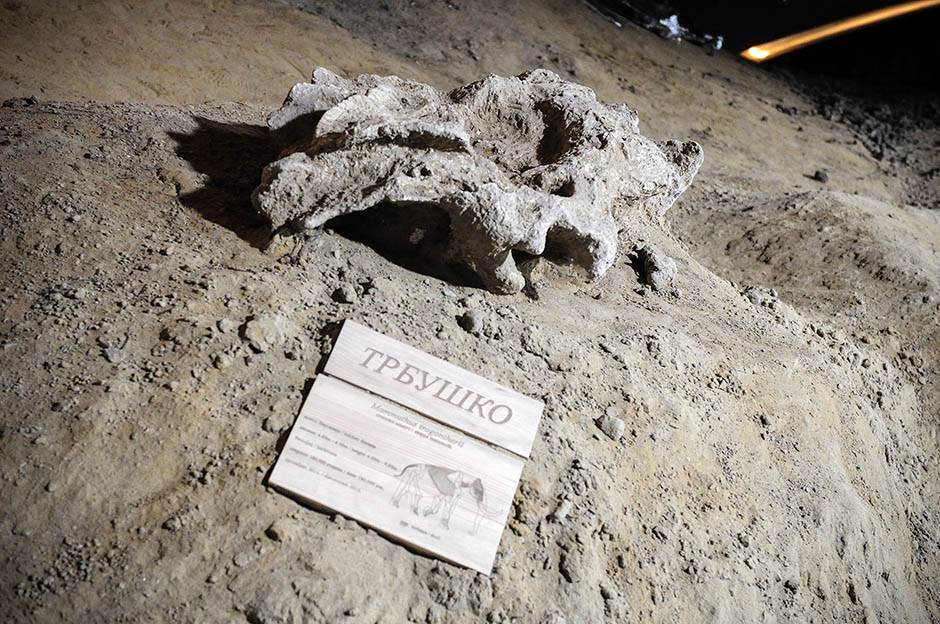 Viminacijum-arheologija-gnostici-urna