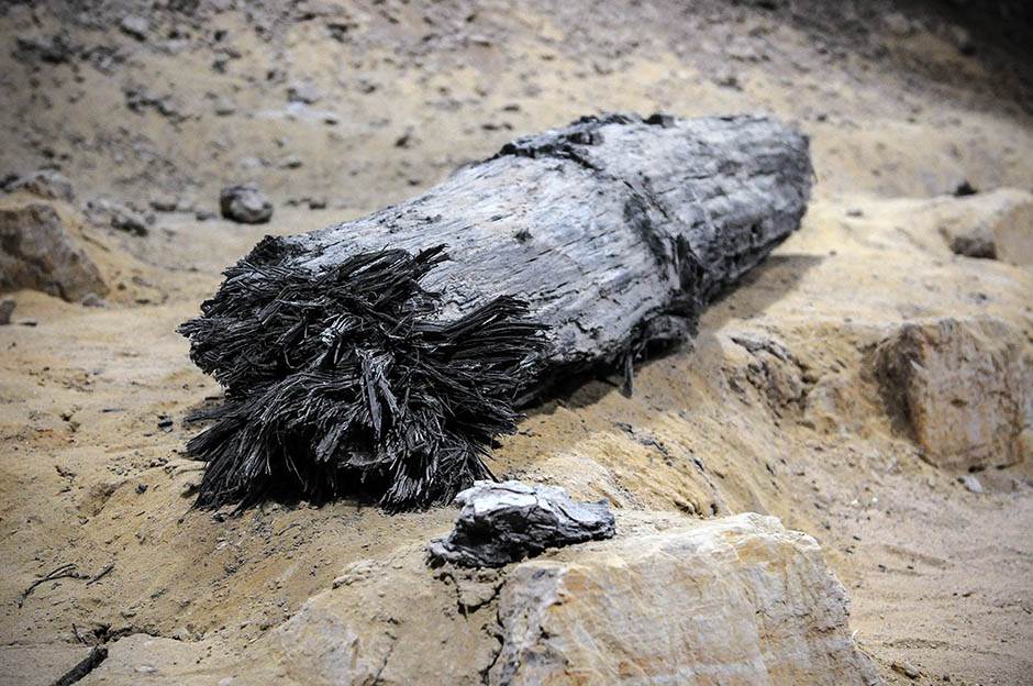 Viminacijum-arheologija-gnostici-urna