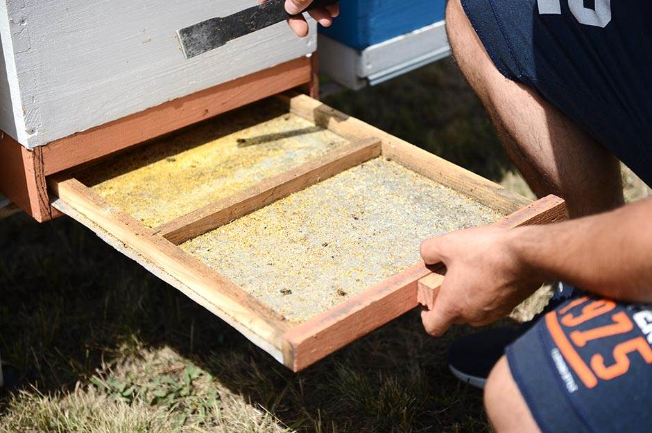 Selo - pčelarstvo - posao na selu - dobra zarada