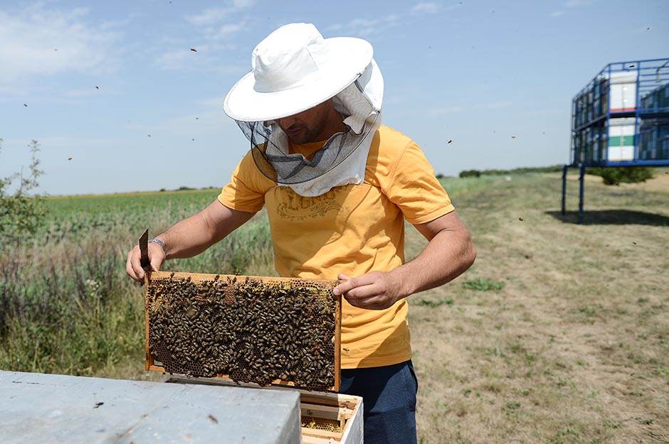 Selo - pčelarstvo - posao na selu - dobra zarada