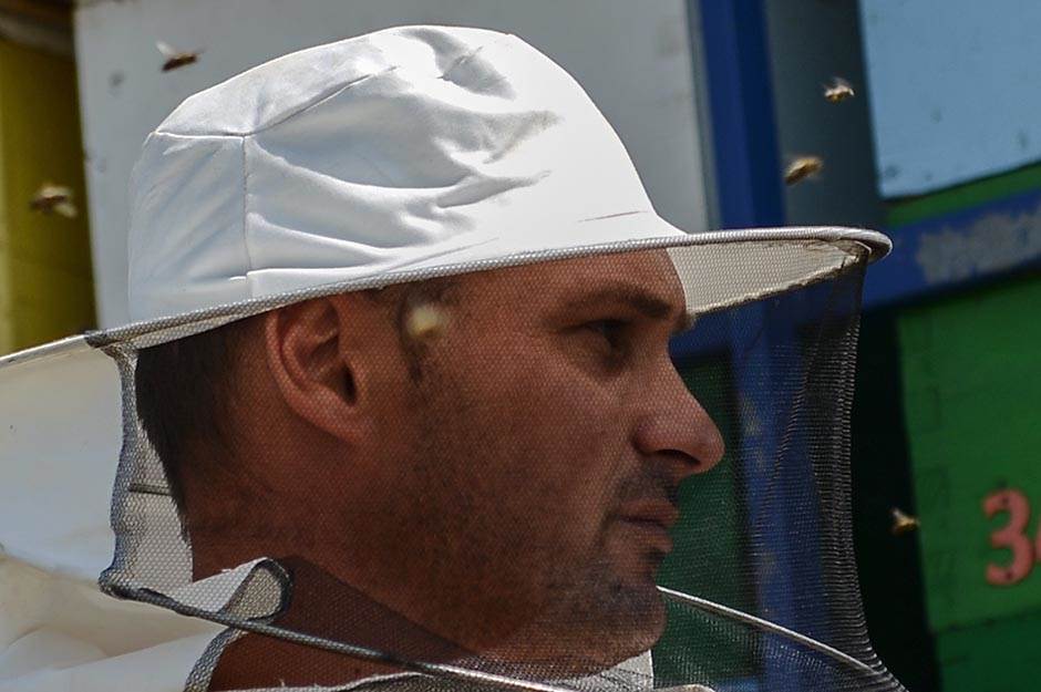 Selo - pčelarstvo - posao na selu - dobra zarada