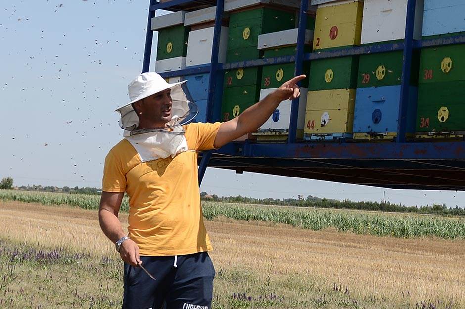 Selo - pčelarstvo - posao na selu - dobra zarada