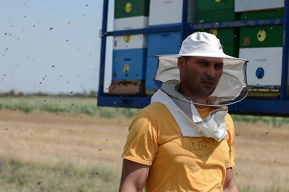 Selo - pčelarstvo - posao na selu - dobra zarada