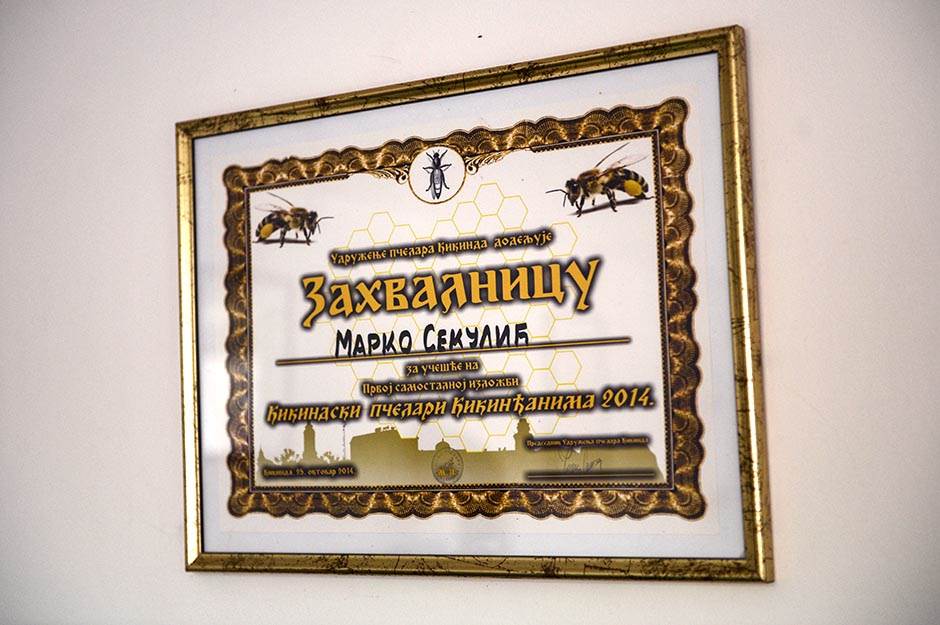 Selo - pčelarstvo - posao na selu - dobra zarada