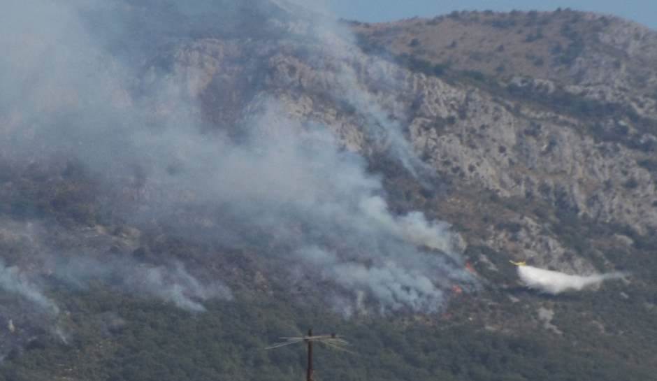 Zašto Srbija nema kanadere za gašenje požara