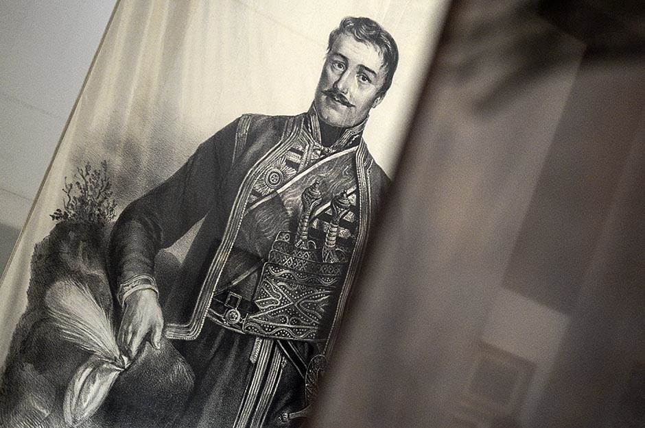 vojvoda milenko stojković harem zene