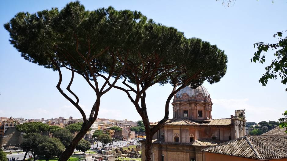 Popularne turističke atrakcije utisci turista