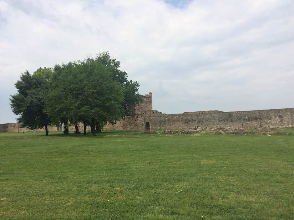 brankovici kraj loze