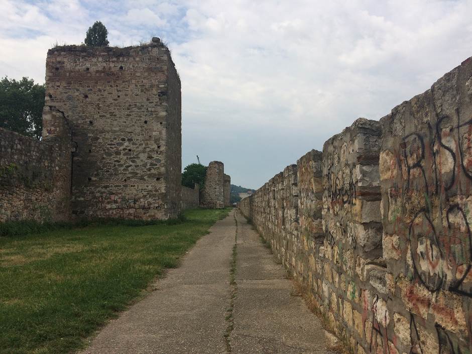 brankovici kraj loze