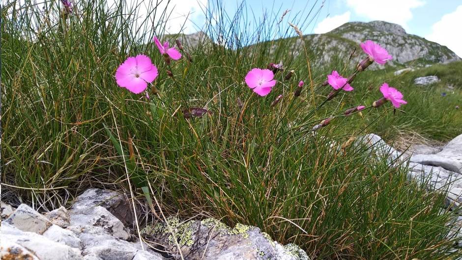Durmitor ostavlja bez daha čarobnim pejzažima i najdubljim kanjonom