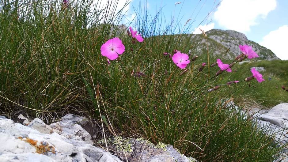 Durmitor ostavlja bez daha čarobnim pejzažima i najdubljim kanjonom