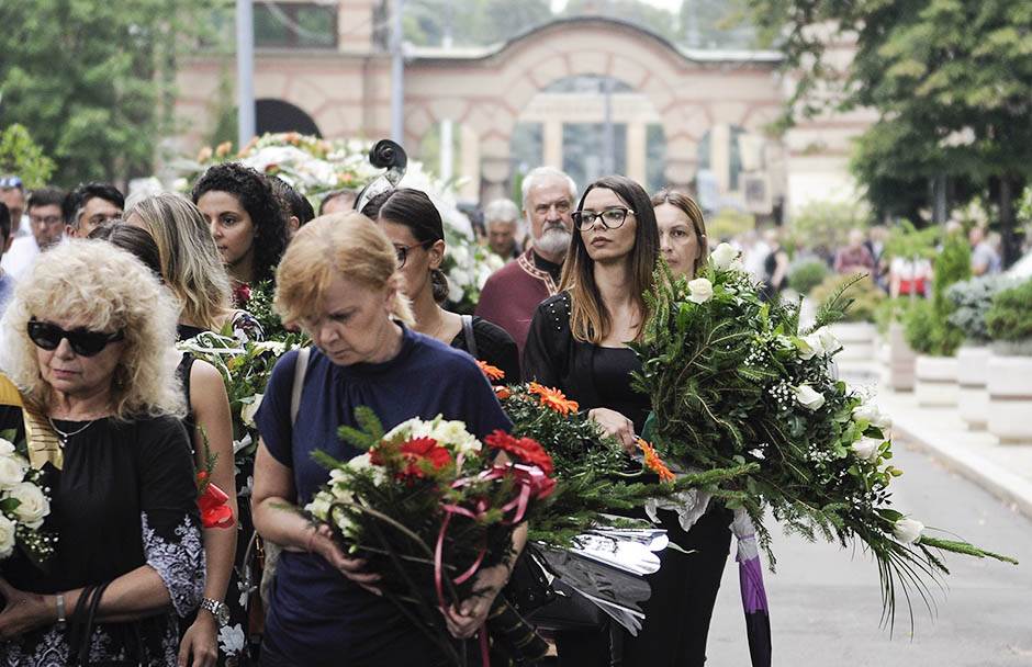 misa ognjanovic ubistvo zora dobricanin advokat detalji