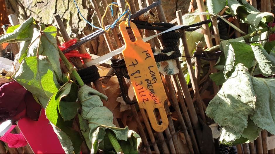 Otac Ejmi Vajnhaus tuži njene drugarice