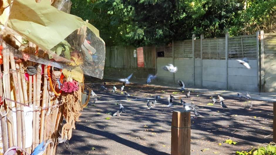 Otac Ejmi Vajnhaus tuži njene drugarice