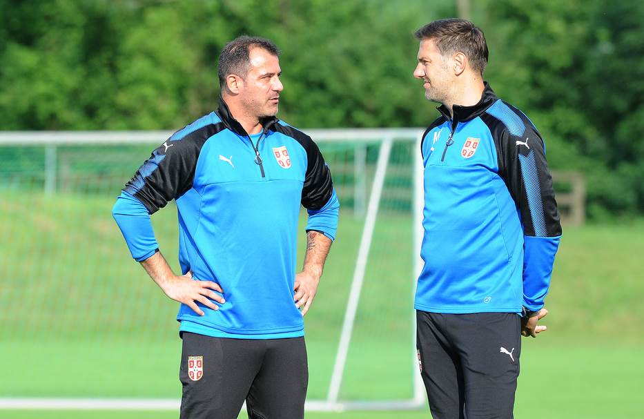 crvena zvezda novi trener dejan stanković sportske vesti
