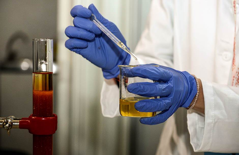 Festival nauke od 5. do 8. decembra program Festivala nauke