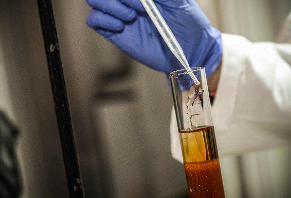 Festival nauke od 5. do 8. decembra program Festivala nauke