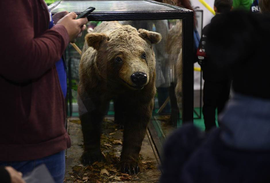 Festival nauke od 5. do 8. decembra program Festivala nauke