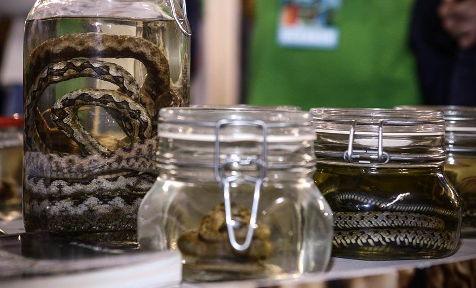 Festival nauke od 5. do 8. decembra program Festivala nauke