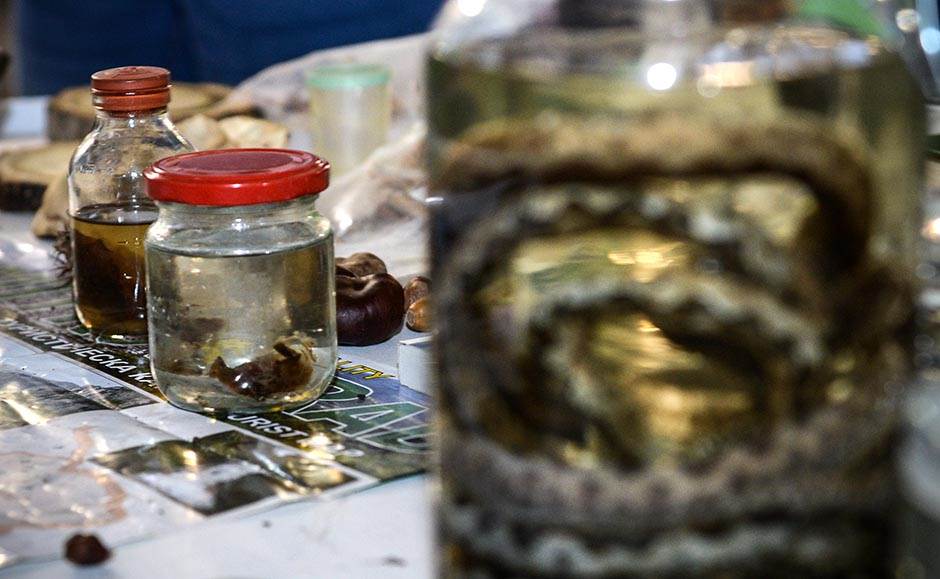 Festival nauke od 5. do 8. decembra program Festivala nauke