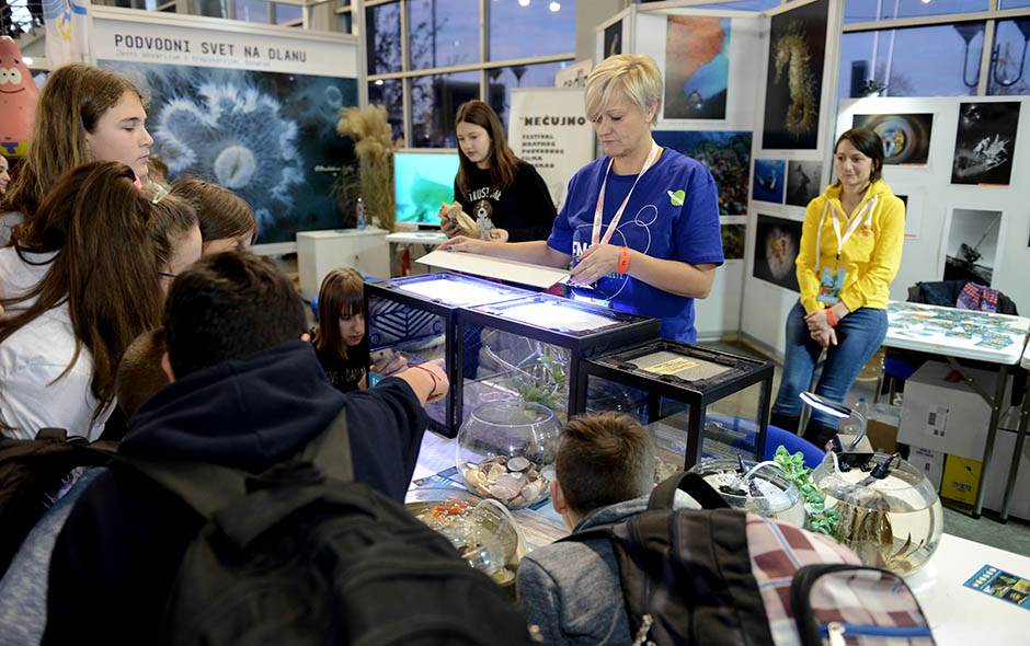 Festival nauke od 5. do 8. decembra program Festivala nauke