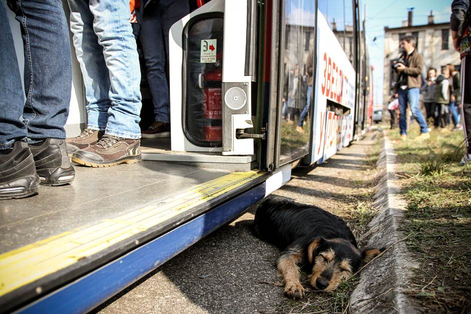 FK Crvena zvezda 2019 presek Mondo sportske vesti