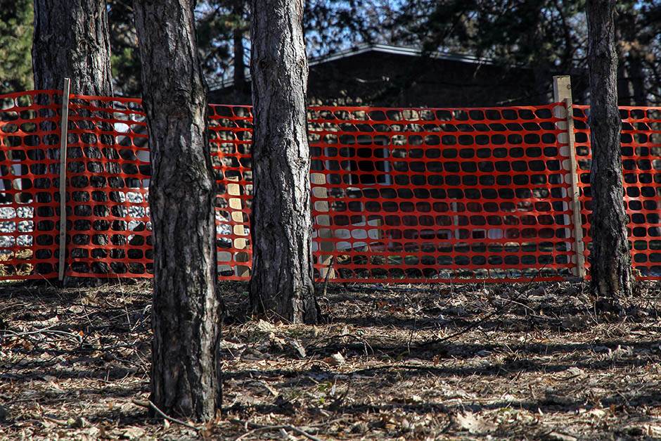 Beograd Košutnjak peticija očuvanje šuma