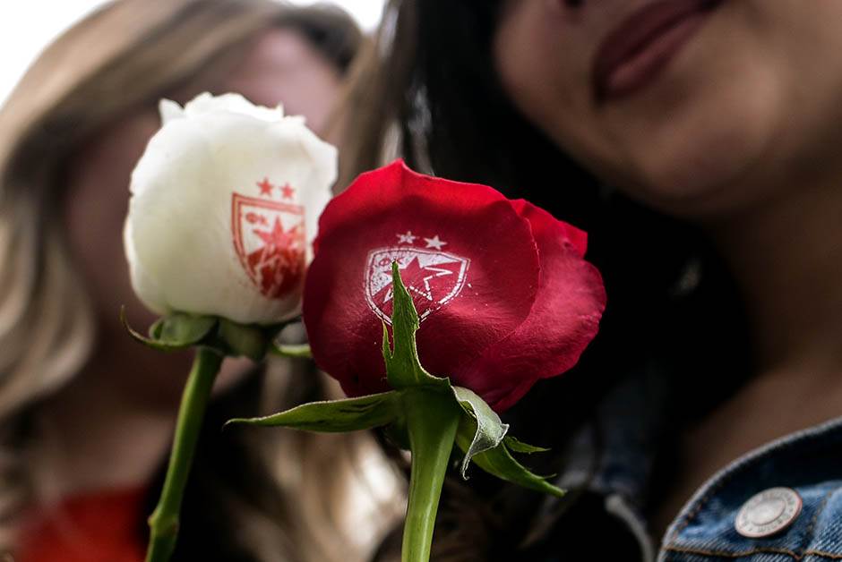 FK Crvena zvezda 2019 presek Mondo sportske vesti