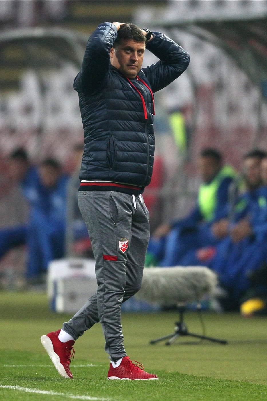 FK Crvena zvezda 2019 presek Mondo sportske vesti