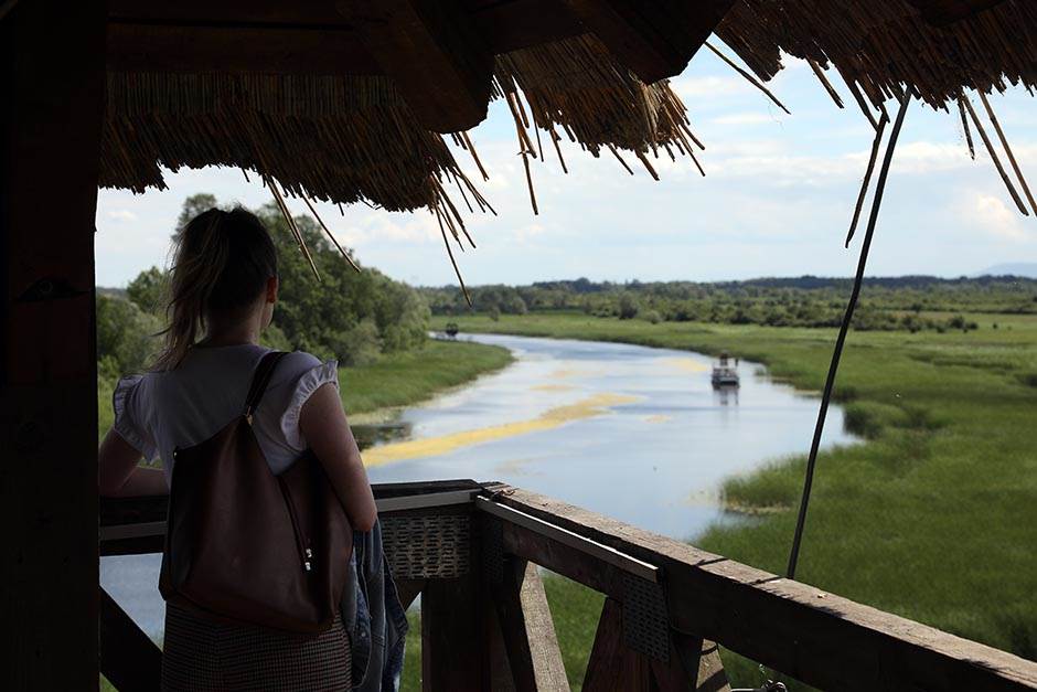 Izlet Zasavica na sat vremena od Beograda