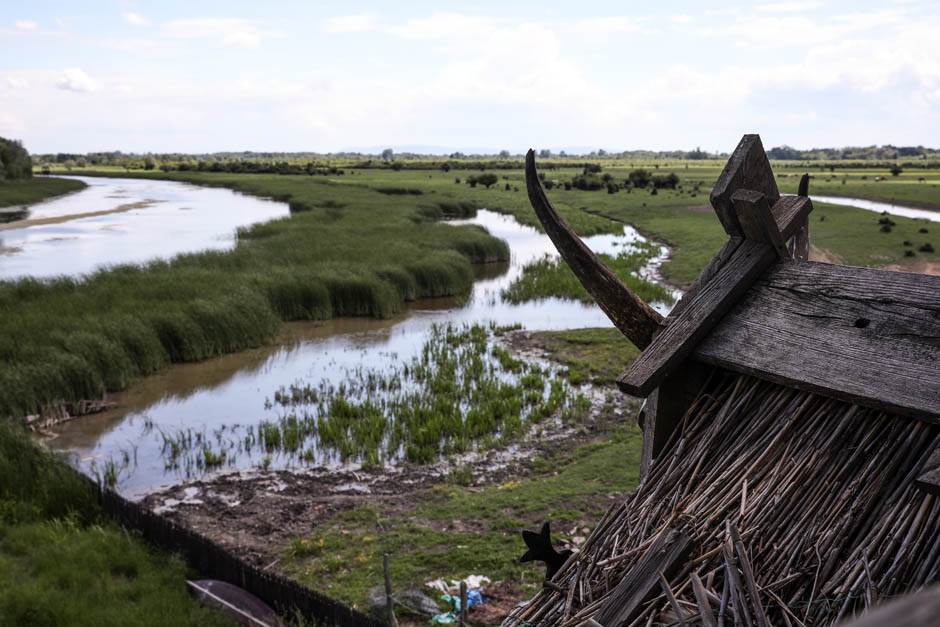 Izlet Zasavica na sat vremena od Beograda