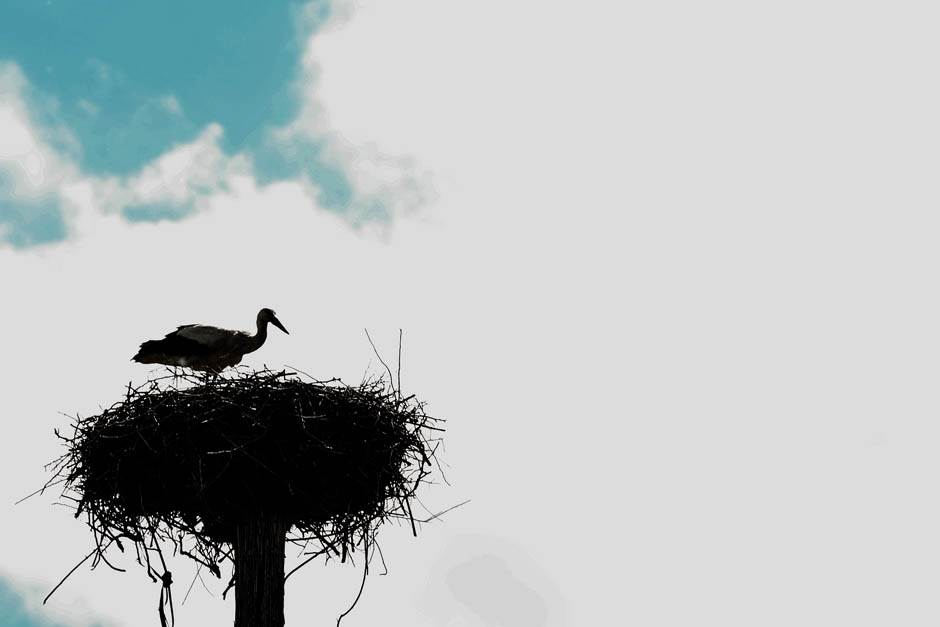 Izlet Zasavica na sat vremena od Beograda