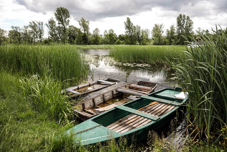 Izlet Zasavica na sat vremena od Beograda