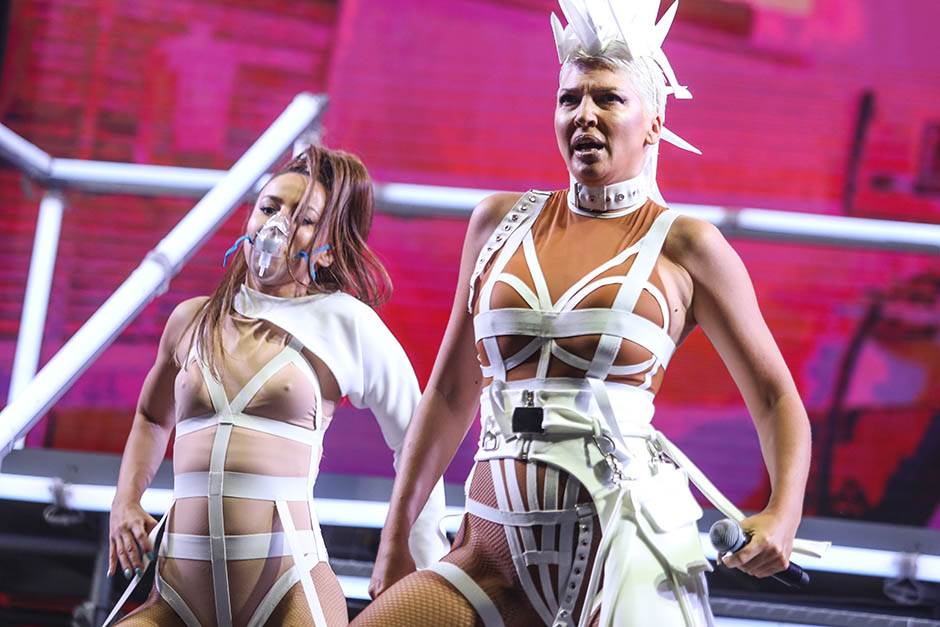 Jelena Karleuša majka Divna Instagram