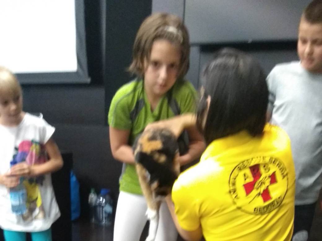 Spasavanje životinja - Animal rescue Serbia - praktični saveti