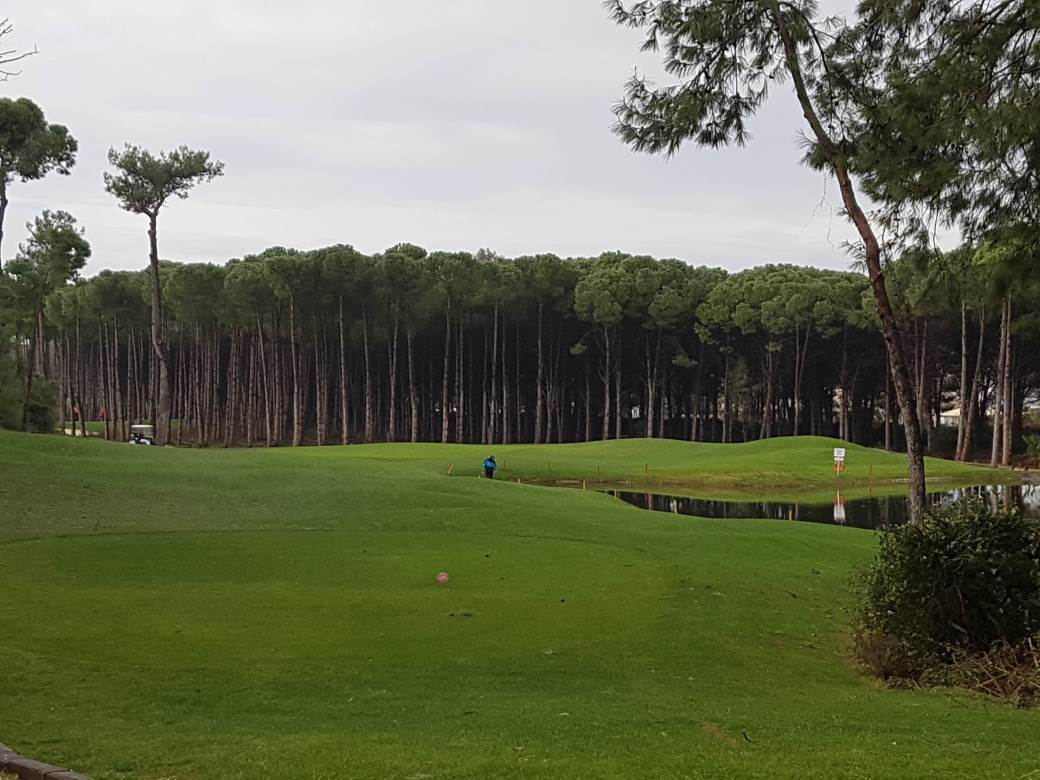 Pinosava - golf tereni - gradnja