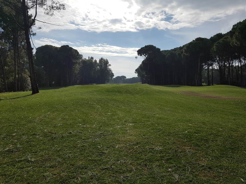 Pinosava - golf tereni - gradnja