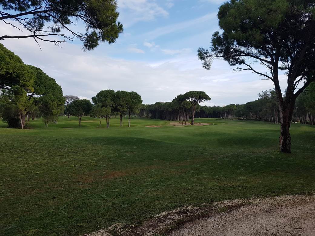 Pinosava - golf tereni - gradnja