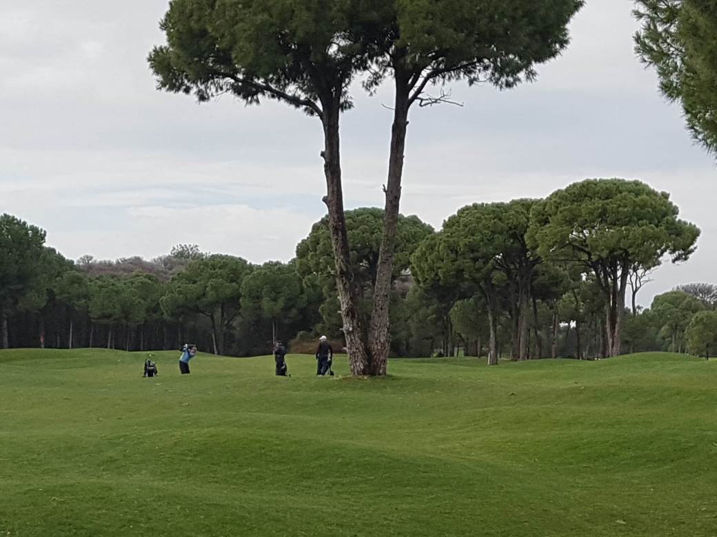 Pinosava - golf tereni - gradnja