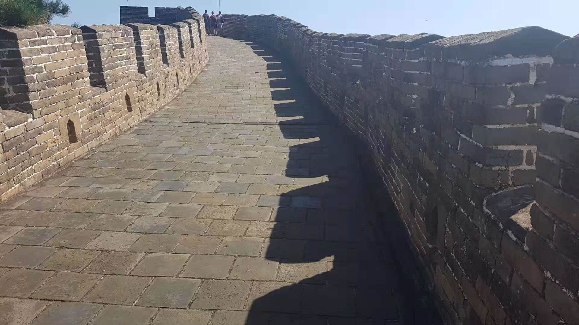 Bob i žičara na Kineskom zidu FOTO i VIDEO, reportaža Mladen Šolak