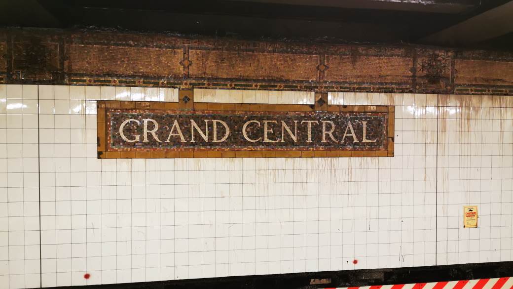 SRpskinja u Njujorku -stvarna iskustava i američki san