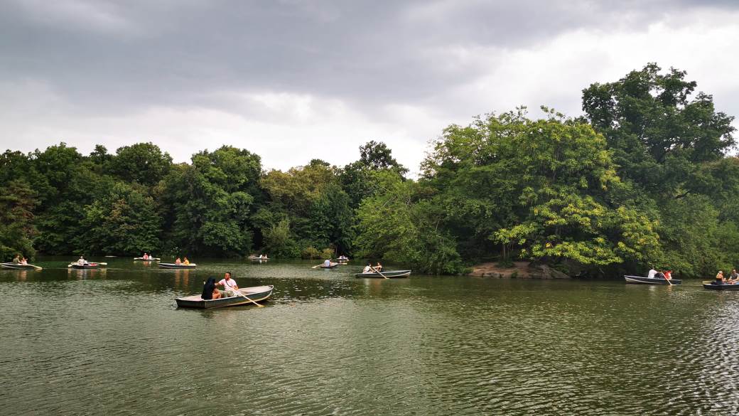 SRpskinja u Njujorku -stvarna iskustava i američki san