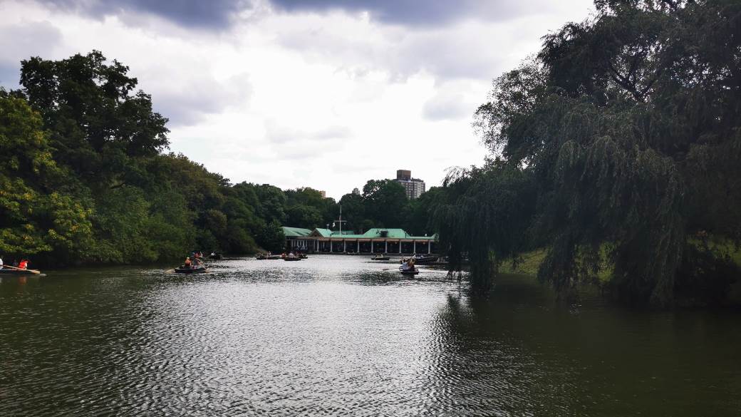 SRpskinja u Njujorku -stvarna iskustava i američki san